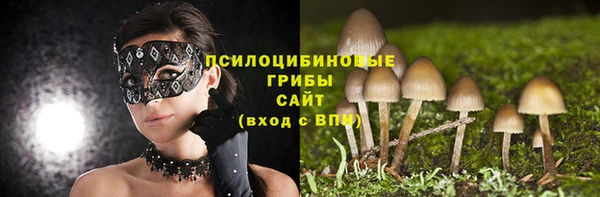 ГАЛЛЮЦИНОГЕННЫЕ ГРИБЫ Лихославль