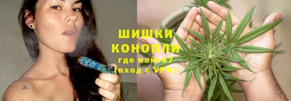 ПСИЛОЦИБИНОВЫЕ ГРИБЫ Магас