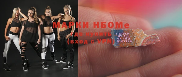 хмурый Няндома