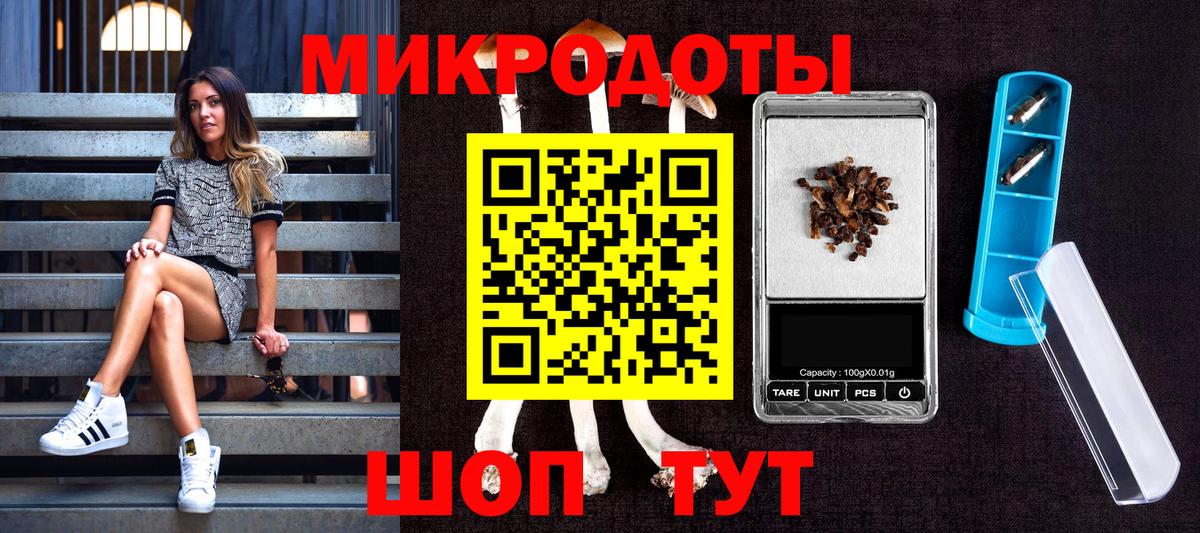 Медногорск  Галлюциногенные грибы GOLDEN TEACHER  Вход с VPN 