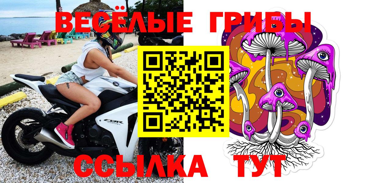 Псилоцибиновые грибы прущие грибы Медногорск