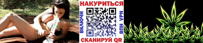 Канабис сатива  гидра рабочий сайт  сайты даркнета наркотические препараты  Медногорск 